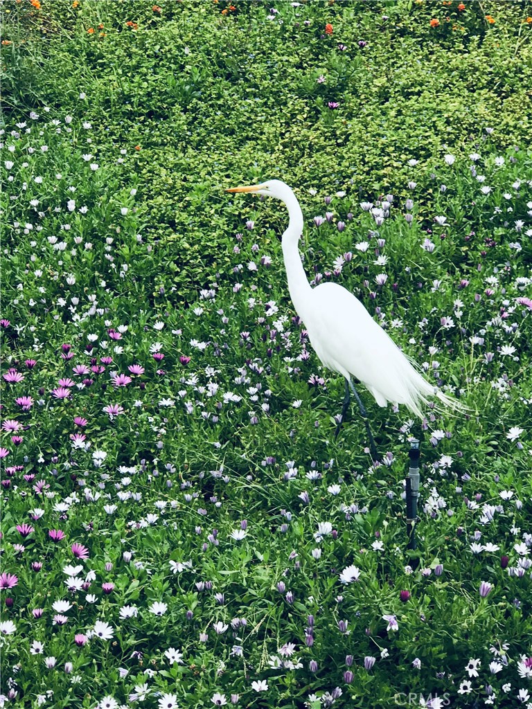 https://media.crmls.org/medias/8a2f6330-c633-4f80-9e7c-c587eb0c4413.jpg?preset=X-Large
