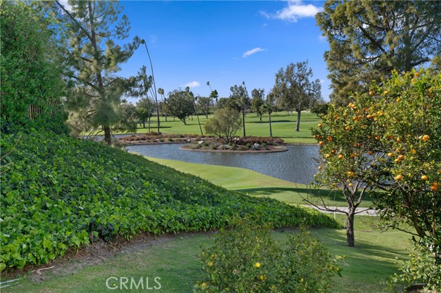 Detail Gallery Image 36 of 58 For 3064 Java Rd, Costa Mesa,  CA 92626 - 5 Beds | 3/1 Baths