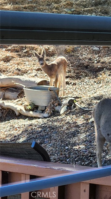 Detail Gallery Image 52 of 57 For 5180 Lone Pine Canyon, Wrightwood,  CA 92397 - 4 Beds | 2 Baths