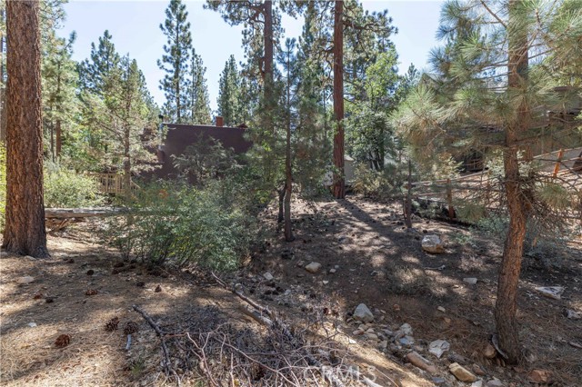 Detail Gallery Image 13 of 14 For 0 Kern Ave, Sugarloaf,  CA 92386 - – Beds | – Baths