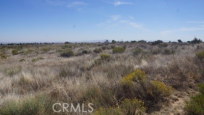 Detail Gallery Image 3 of 9 For 4 Wilson Ranch Rd, Phelan,  CA 92371 - – Beds | – Baths