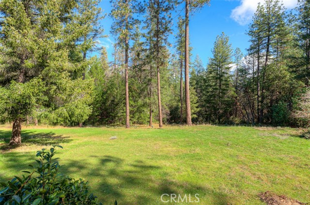 Detail Gallery Image 7 of 52 For 712 Bloomer Hill, Berry Creek,  CA 95916 - 2 Beds | 1/1 Baths