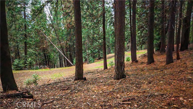 Detail Gallery Image 22 of 22 For 5435 Pine Ridge, Grizzly Flats,  CA 95636 - – Beds | – Baths