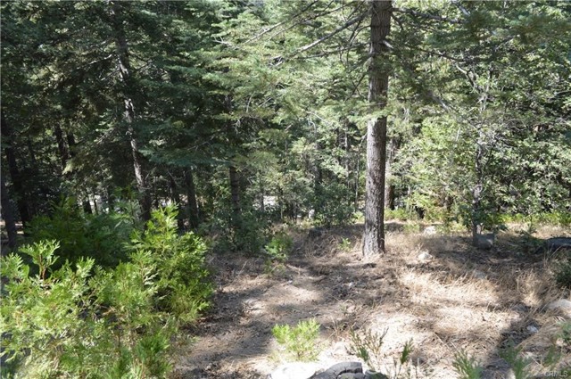 Detail Gallery Image 13 of 14 For 590 0 Rose Ln, Twin Peaks,  CA 92391 - 2 Beds | 2 Baths