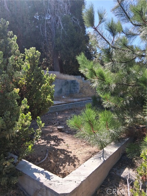 839 Arbula Drive, Crestline CA: https://media.crmls.org/medias/8a4145ea-db74-44b5-81b7-1d26ecbccfc6.jpg