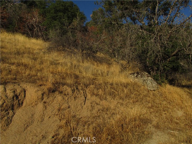 Detail Gallery Image 18 of 54 For 2 Ac Old Oaks Ct, North Fork,  CA 93643 - – Beds | – Baths