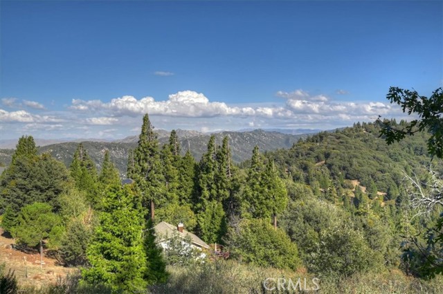 729 Minty Pine Drive, Cedarpines Park, CA 92322