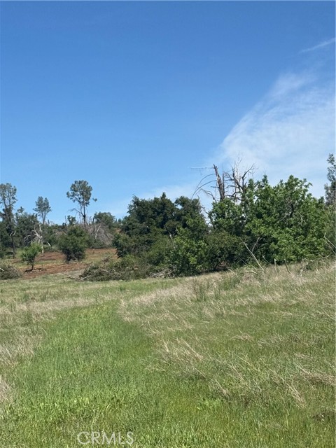 Detail Gallery Image 27 of 33 For 0 Round Valley Ranch, Paradise,  CA 95969 - – Beds | – Baths