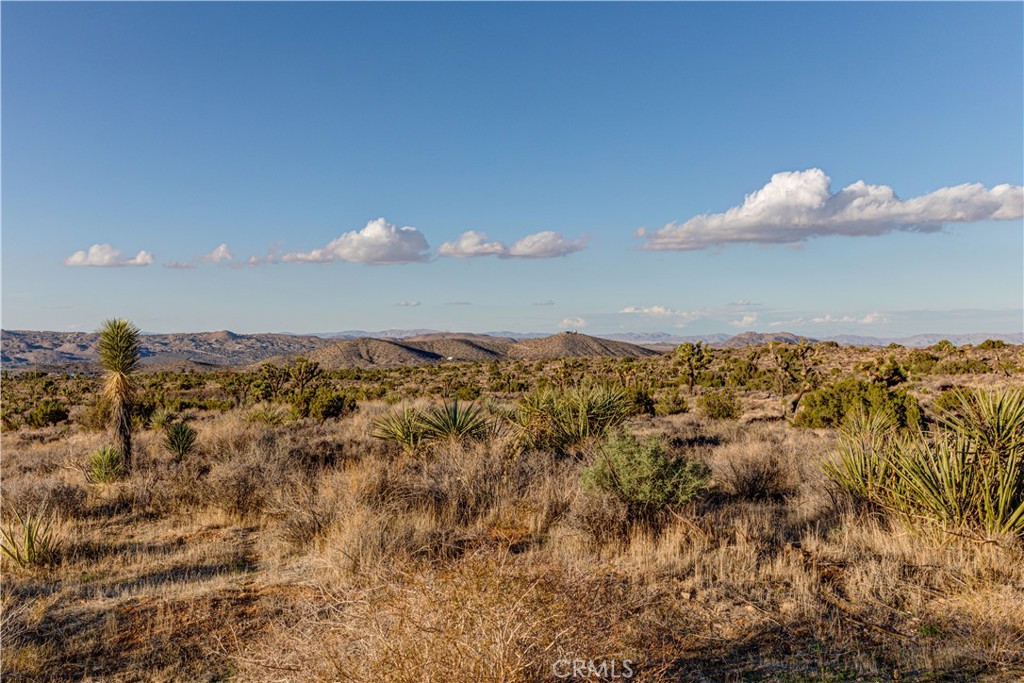 MLS #JT25229239 image #31