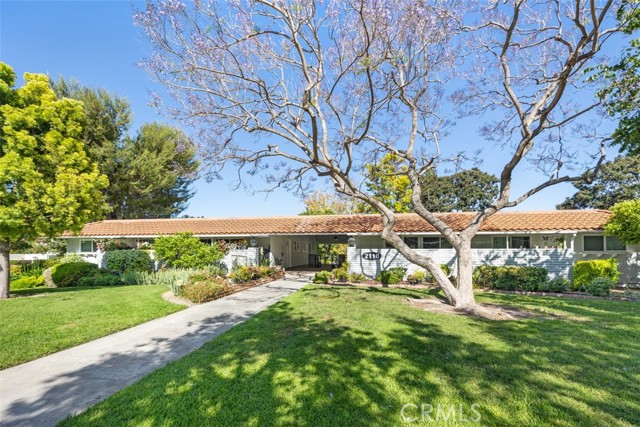 Front Image Thumbnail for CROC26063033