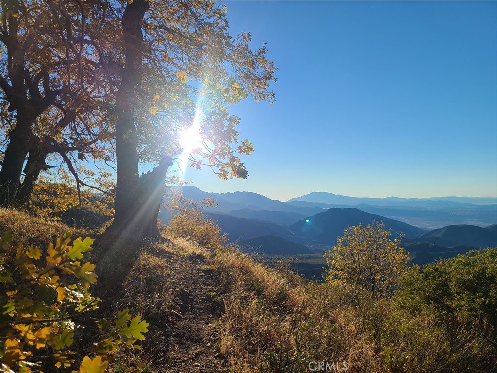 https://media.crmls.org/medias/8a514f58-05c6-495d-93cb-8266c338f96f.jpg?preset=X-Large