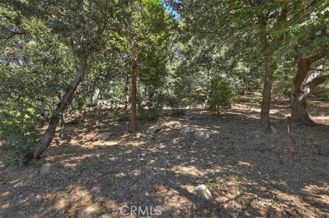 815 Chamois, Crestline, CA 92325