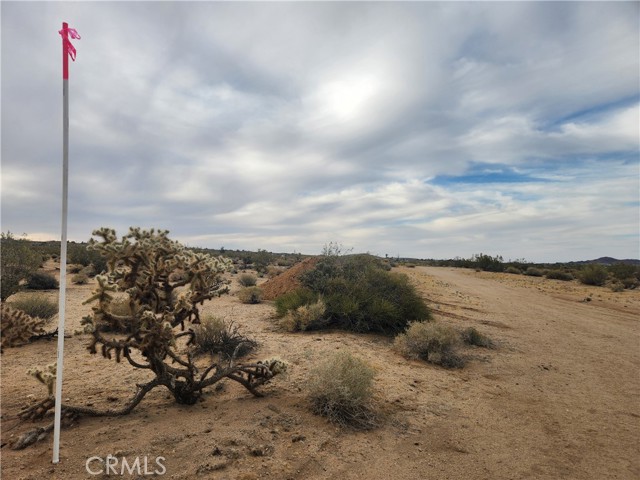 Detail Gallery Image 12 of 23 For 4147 Sunburst St, Joshua Tree,  CA 92252 - – Beds | – Baths