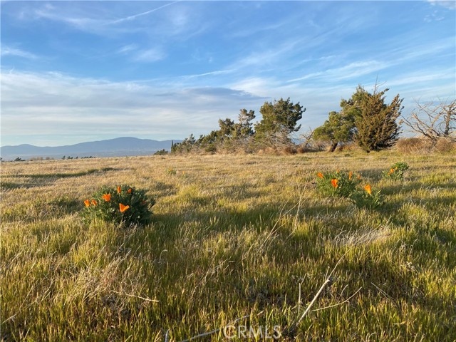 Detail Gallery Image 10 of 16 For 185 W Avenue F, Lancaster,  CA 93536 - – Beds | – Baths
