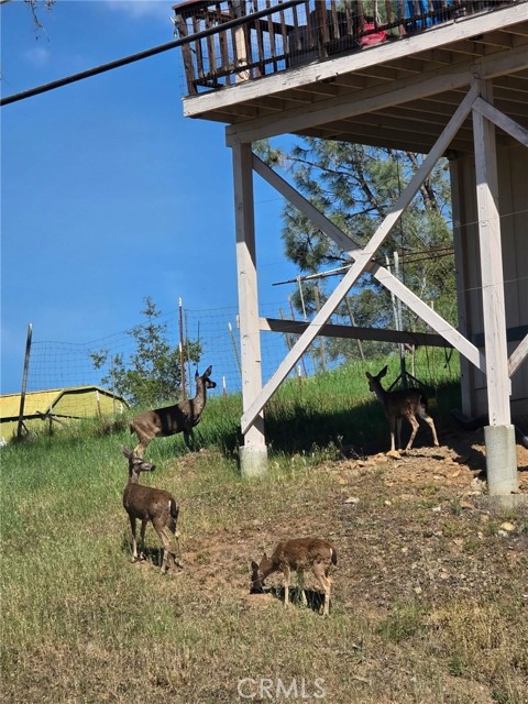 Detail Gallery Image 11 of 75 For 4047 Foothill, Lucerne,  CA 95458 - 3 Beds | 2 Baths