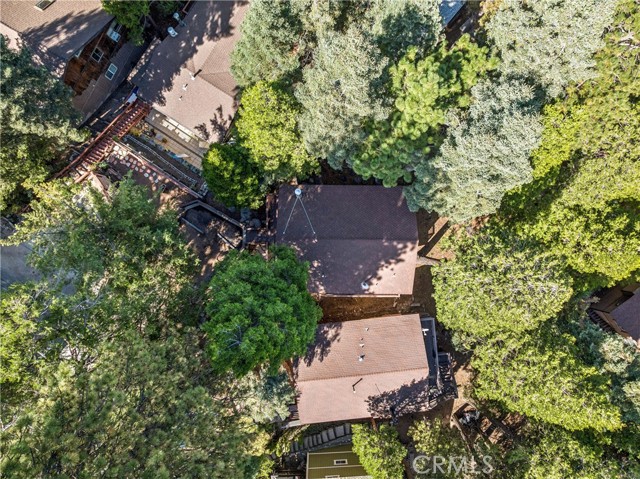 560 Rose Lane, Twin Peaks, CA 92391