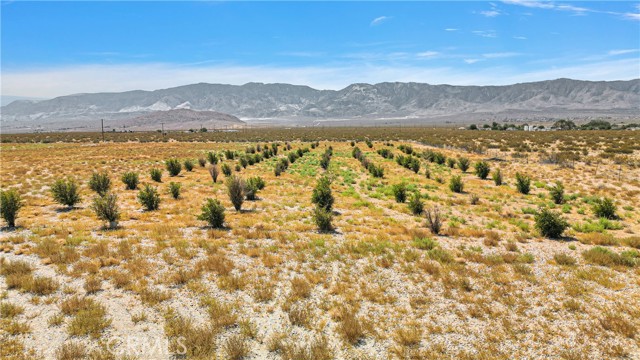 Detail Gallery Image 21 of 25 For 33633 Old Woman Spring Rd, Lucerne Valley,  CA 92356 - – Beds | – Baths