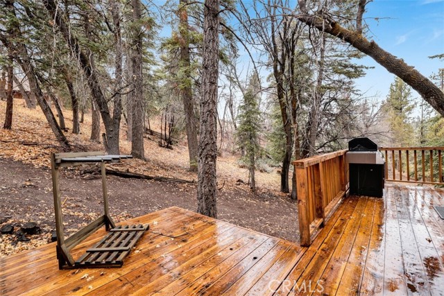 Detail Gallery Image 22 of 28 For 1184 Teton Dr, Big Bear Lake,  CA 92315 - 3 Beds | 2/1 Baths