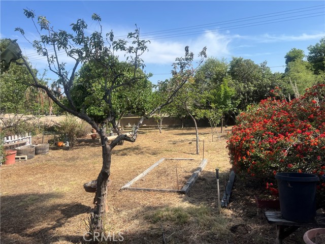 Detail Gallery Image 66 of 73 For 6087 Carol Ave, Rancho Cucamonga,  CA 91701 - 4 Beds | 2 Baths