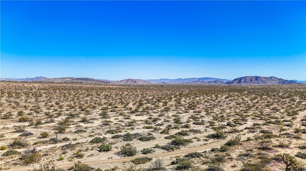 MLS #JT25078936 image #11