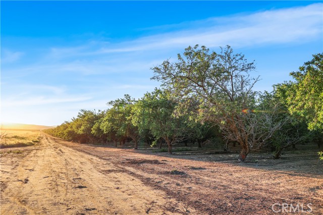 Detail Gallery Image 22 of 33 For 0 I5/Shields, Firebaugh,  CA 93622 - – Beds | – Baths