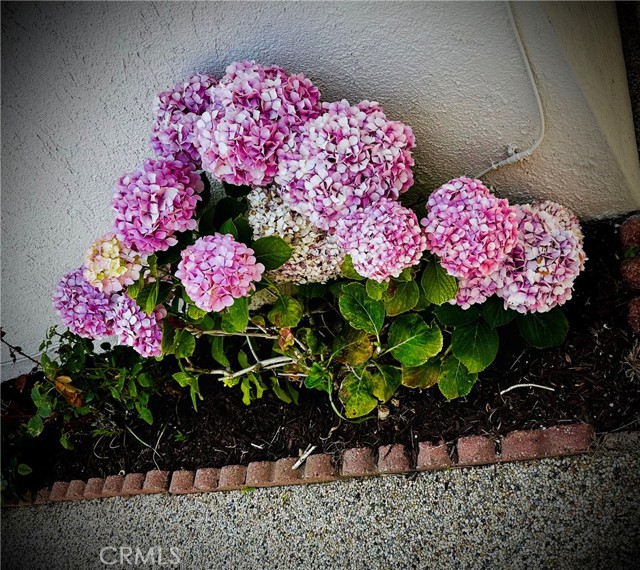2270 W 231st Street, Torrance CA: https://media.crmls.org/medias/8a7b8c4a-f267-46e8-a6ff-6f43e059c28b.jpg