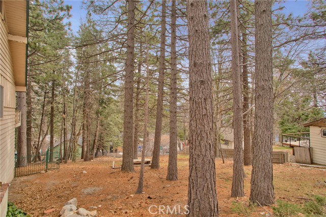 Detail Gallery Image 8 of 50 For 26416 Apache Trl, Rimforest,  CA 92378 - 3 Beds | 2 Baths