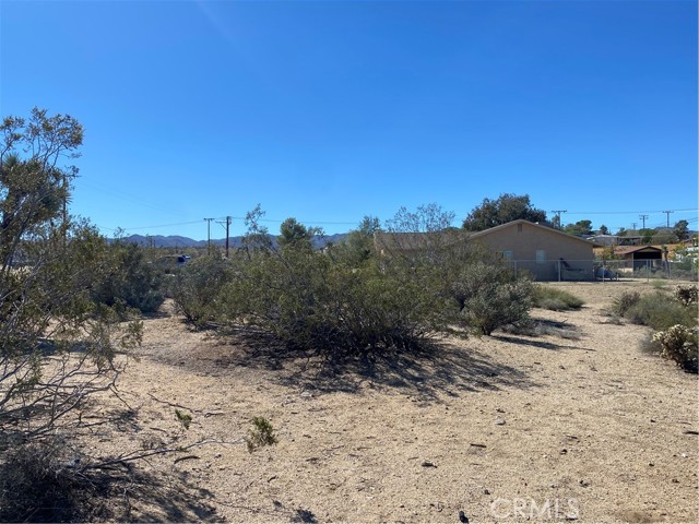 1234 Avalon Avenue, Yucca Valley, California 92284, ,Land,For Sale,1234 Avalon Avenue,CRJT22209446