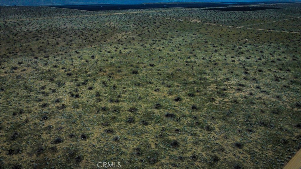 MLS #HD26143104 image #4