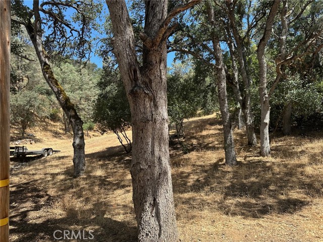 10810 Pingree Road, Clearlake Oaks CA: https://media.crmls.org/medias/8a935088-0bee-40f5-a8fb-3142d68f3b71.jpg