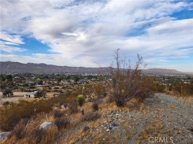 Detail Gallery Image 11 of 13 For 164 Lot Joshua Ln, Yucca Valley,  CA 92284 - – Beds | – Baths