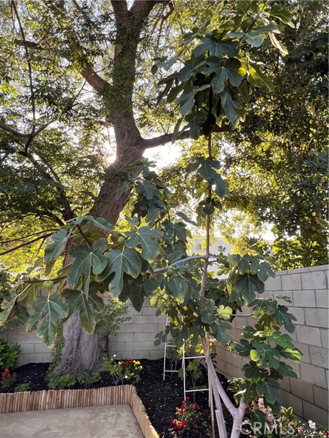 7327 N Loma Verde Avenue, Canoga Park CA: https://media.crmls.org/medias/8a964f4d-f294-4cba-a799-07ad114e02dc.jpg