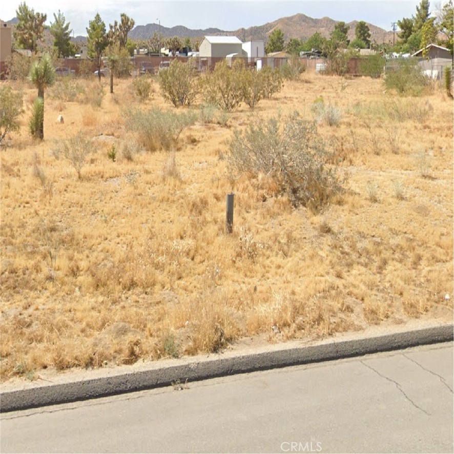 MLS #SR25171920 image #5