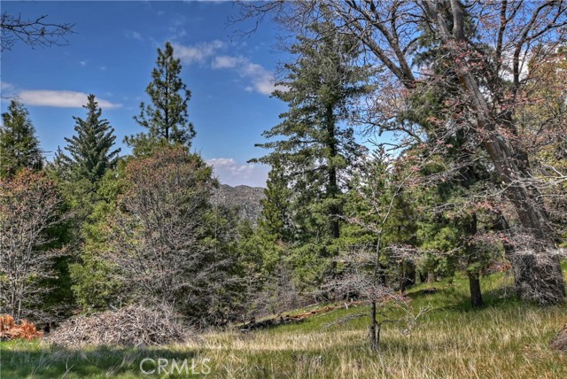 Detail Gallery Image 53 of 54 For 27513 St Bernard Ln, Lake Arrowhead,  CA 92352 - 5 Beds | 3 Baths