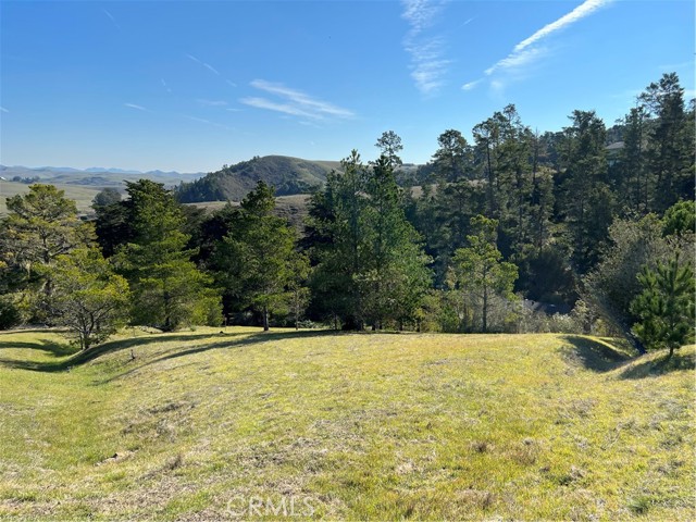 Detail Gallery Image 11 of 15 For 0 Linden Ct, Cambria,  CA 93428 - – Beds | – Baths