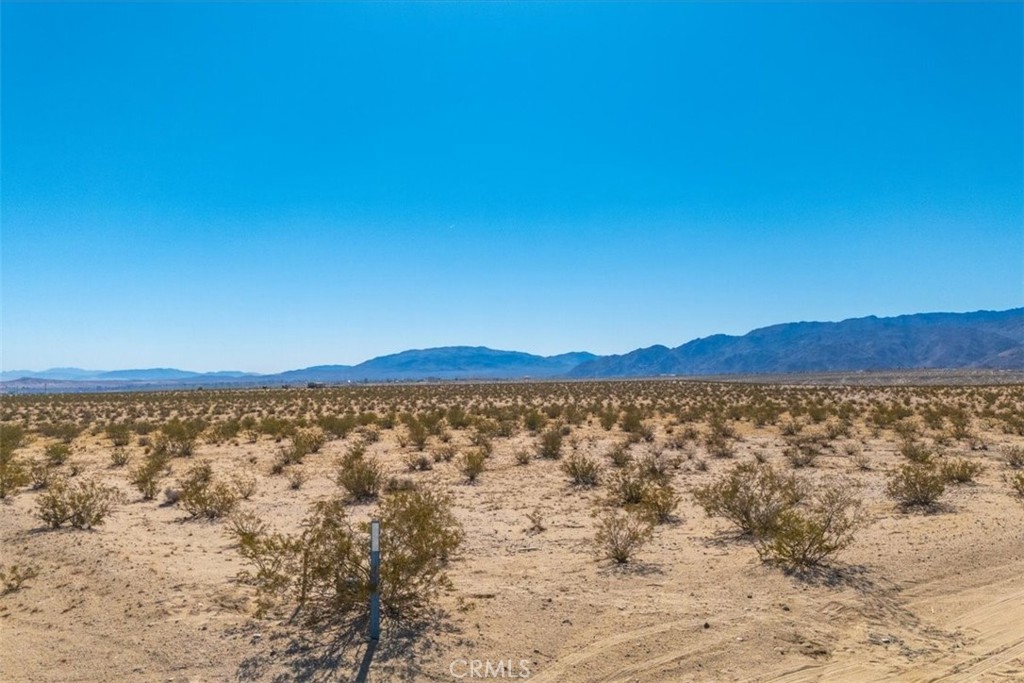 MLS #JT25225678 image #32