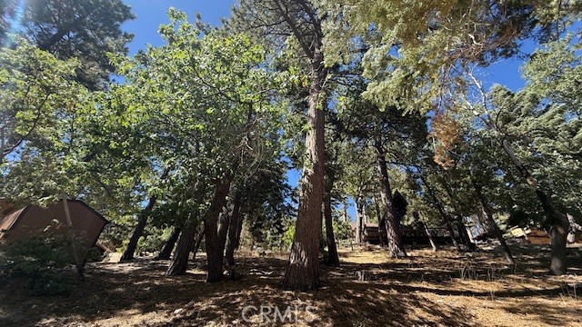 33112 Juniper Lane, Green Valley Lake CA: https://media.crmls.org/medias/8aafddf6-bbcb-4479-b75d-c9a1941a504c.jpg