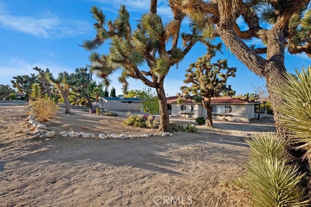 Detail Gallery Image 5 of 28 For 56734 Carlyle Dr, Yucca Valley,  CA 92284 - 4 Beds | 2/1 Baths