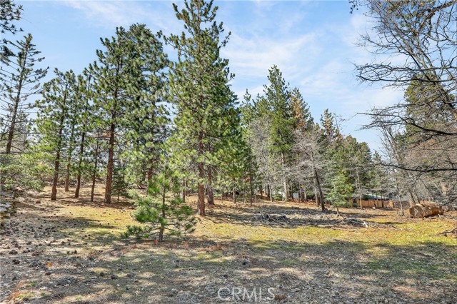 Detail Gallery Image 2 of 23 For 0 Cepu Rd, Running Springs,  CA 92382 - – Beds | – Baths