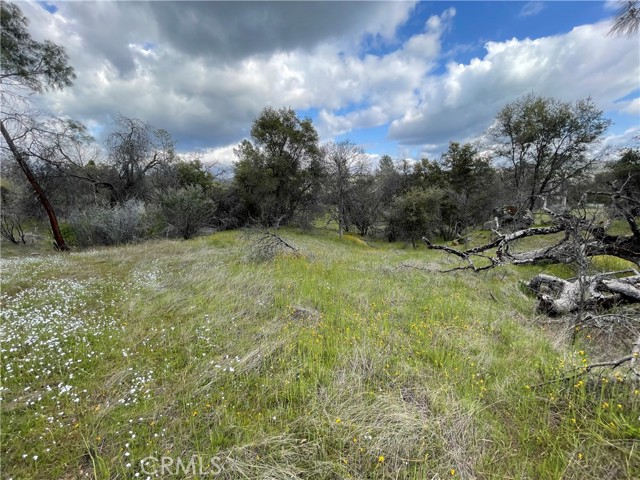 Detail Gallery Image 23 of 24 For 3786 Bronco Hollow Rd, Mariposa,  CA 95338 - – Beds | – Baths