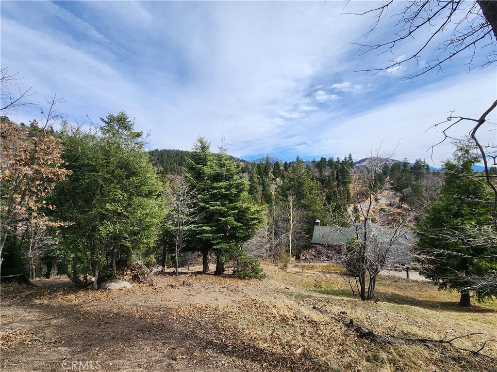 MLS #IG25045374 image #11