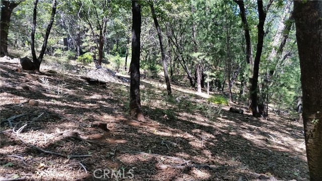 Detail Gallery Image 2 of 3 For 13424 Adrian Dr, Magalia,  CA 95954 - – Beds | – Baths