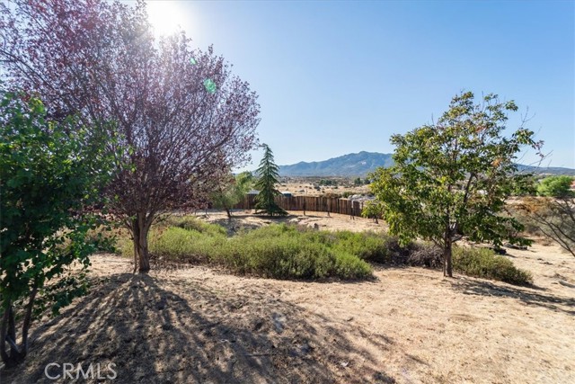 Detail Gallery Image 50 of 73 For 38950 Cary Rd, Anza,  CA 92539 - 4 Beds | 2 Baths