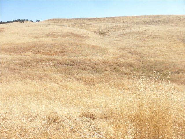 Detail Gallery Image 9 of 15 For 0 Douglas Rd. (Lot 43), San Miguel,  CA 93451 - – Beds | – Baths