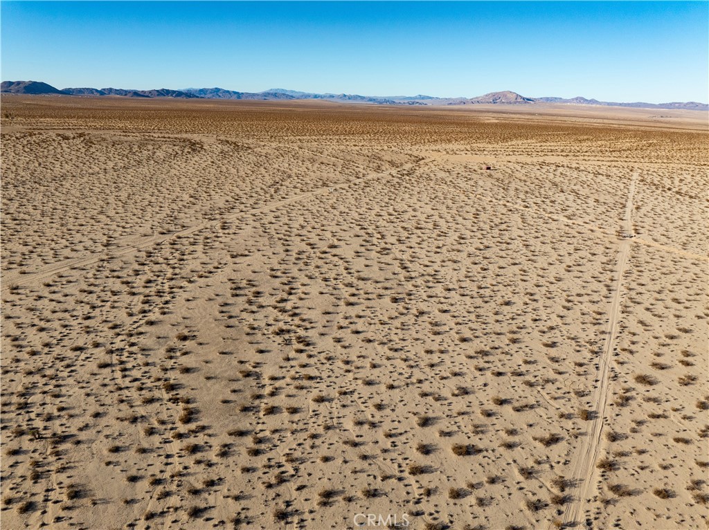 MLS #JT25029694 image #4