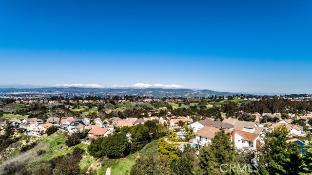 6455 E Oakview Ln, Anaheim Hills, CA 92807