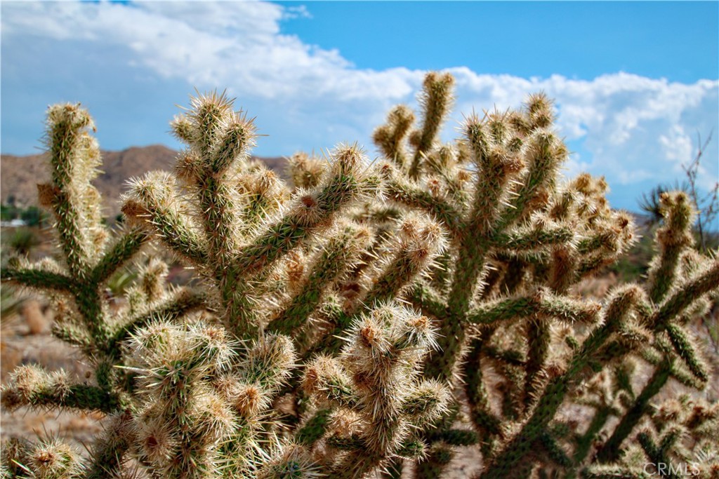 MLS #RS25195860 image #10