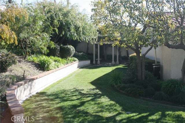 Large flat backyard