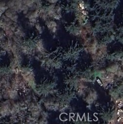 Front Image Thumbnail for CRSR25266963