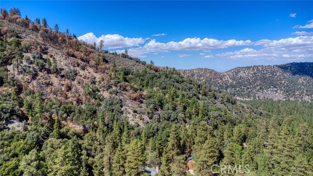 Detail Gallery Image 17 of 20 For 999 Acorn Dr, Wrightwood,  CA 92397 - – Beds | – Baths